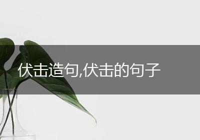 伏击造句,伏击的句子