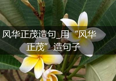 风华正茂造句_用“风华正茂”造句子