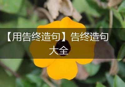 【用告终造句】告终造句大全