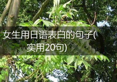 女生用日语表白的句子(实用20句)