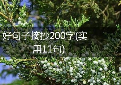 好句子摘抄200字(实用11句)
