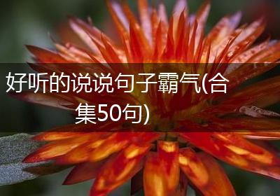 好听的说说句子霸气(合集50句)