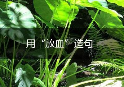 用“放血”造句