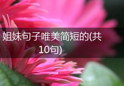姐妹句子唯美简短的(共10句)
