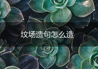 坟场造句怎么造