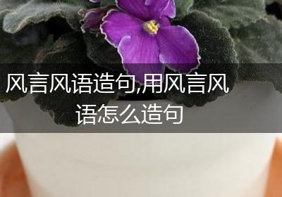 风言风语造句,用风言风语怎么造句