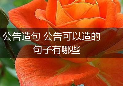 公告造句 公告可以造的句子有哪些