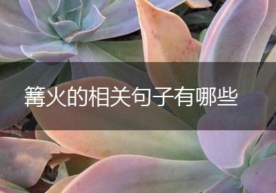 篝火的相关句子有哪些
