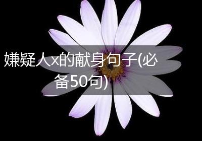 嫌疑人x的献身句子(必备50句)