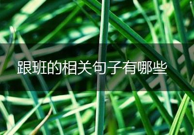 跟班的相关句子有哪些
