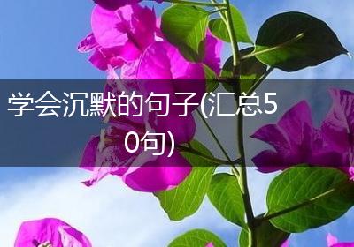 学会沉默的句子(汇总50句)