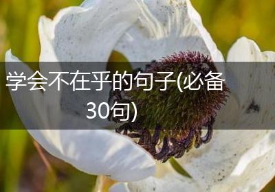 学会不在乎的句子(必备30句)
