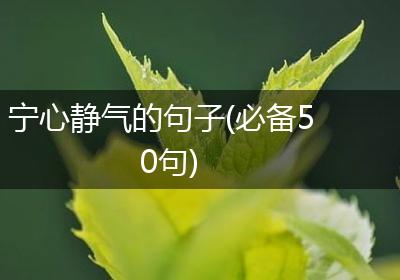 宁心静气的句子(必备50句)