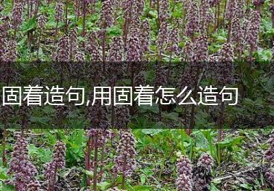 固着造句,用固着怎么造句