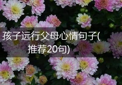 孩子远行父母心情句子(推荐20句)