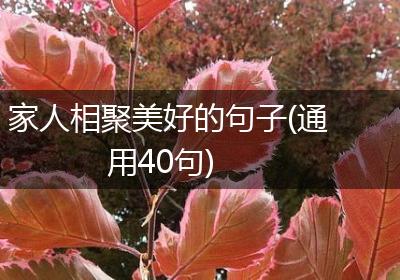 家人相聚美好的句子(通用40句)