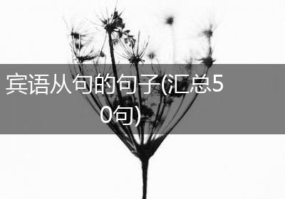 宾语从句的句子(汇总50句)