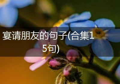 宴请朋友的句子(合集15句)