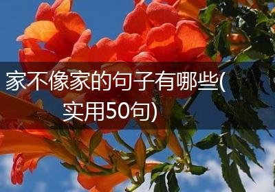 家不像家的句子有哪些(实用50句)