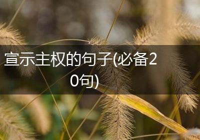 宣示主权的句子(必备20句)