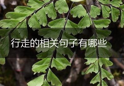 行走的相关句子有哪些