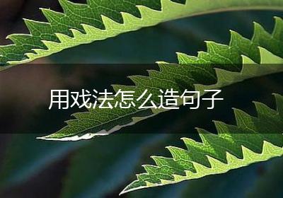 用戏法怎么造句子