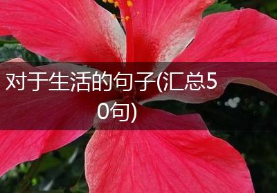 对于生活的句子(汇总50句)