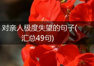 对亲人极度失望的句子(汇总49句)