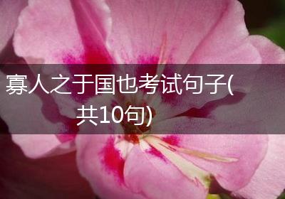 寡人之于国也考试句子(共10句)