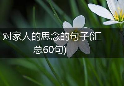 对家人的思念的句子(汇总60句)