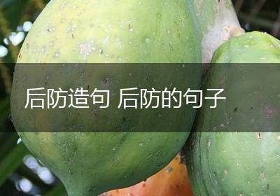 后防造句 后防的句子