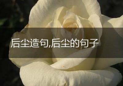 后尘造句,后尘的句子