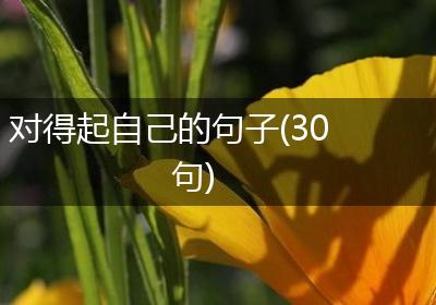 对得起自己的句子(30句)