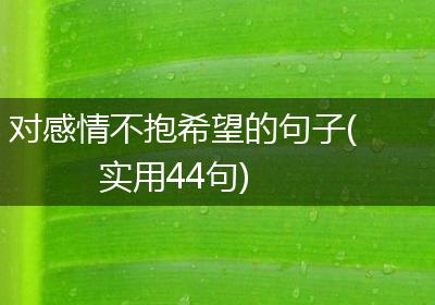 对感情不抱希望的句子(实用44句)