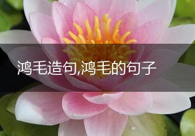 鸿毛造句,鸿毛的句子