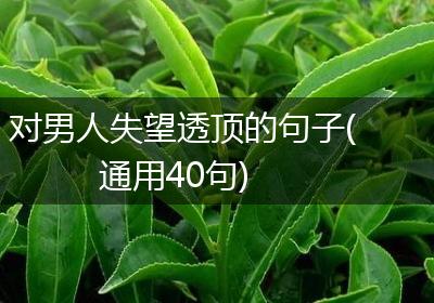 对男人失望透顶的句子(通用40句)