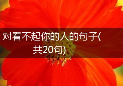 对看不起你的人的句子(共20句)