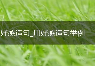 好感造句_用好感造句举例