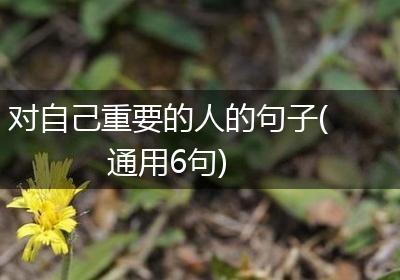 对自己重要的人的句子(通用6句)