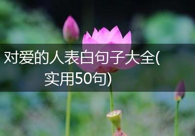 对爱的人表白句子大全(实用50句)