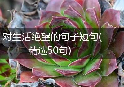对生活绝望的句子短句(精选50句)