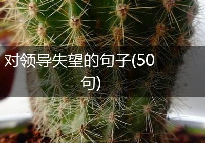 对领导失望的句子(50句)