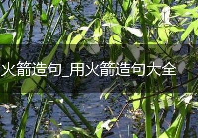 火箭造句_用火箭造句大全