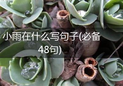 小雨在什么写句子(必备48句)