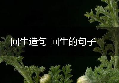 回生造句 回生的句子