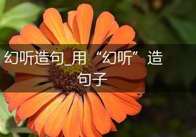 幻听造句_用“幻听”造句子