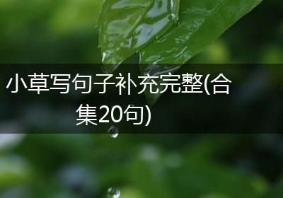小草写句子补充完整(合集20句)