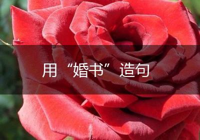 用“婚书”造句