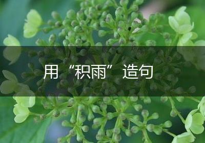 用“积雨”造句