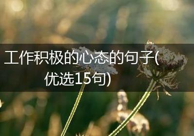 工作积极的心态的句子(优选15句)